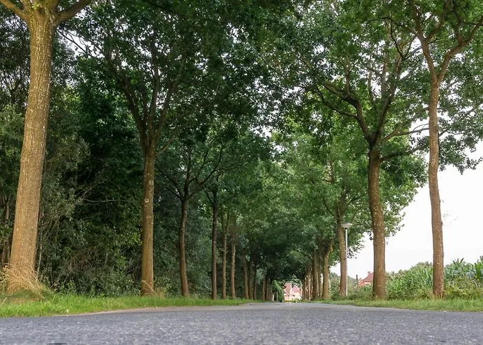 公寓 Tammen Westoverledingen