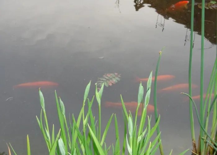 Tammen 公寓 Westoverledingen