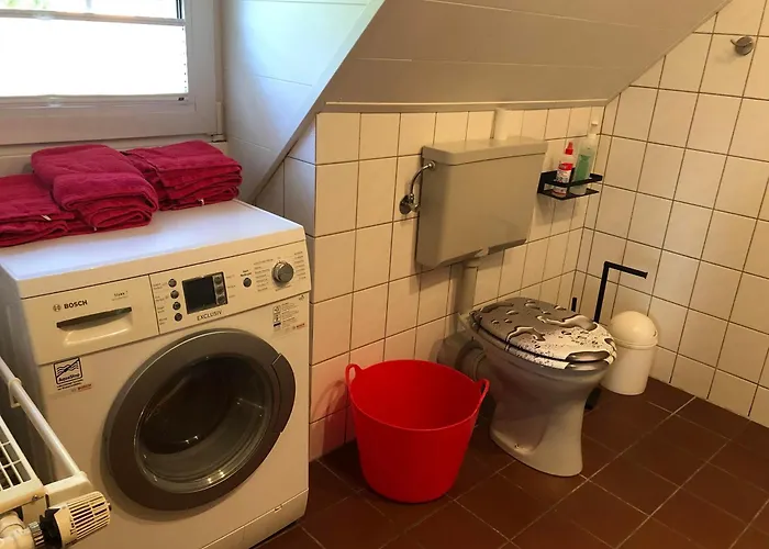 Tammen * Westoverledingen